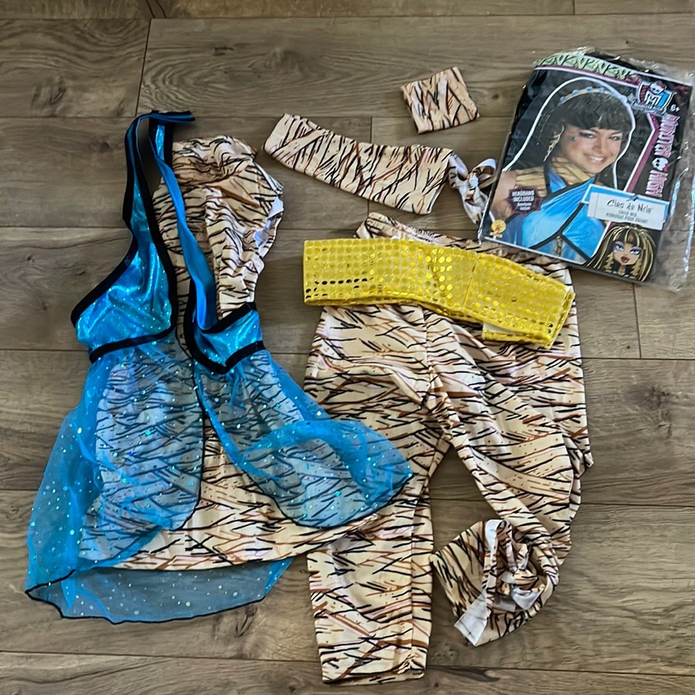 Monster High Cleo de Nile Costume